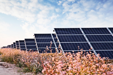 中國(guó)華能的“高性價(jià)比”光伏電站，妙招在這里！